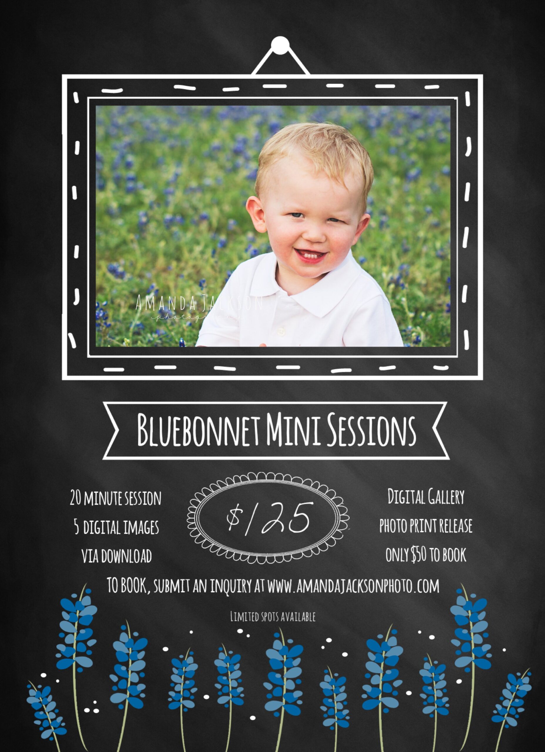2014 Bluebonnet Mini Sessions