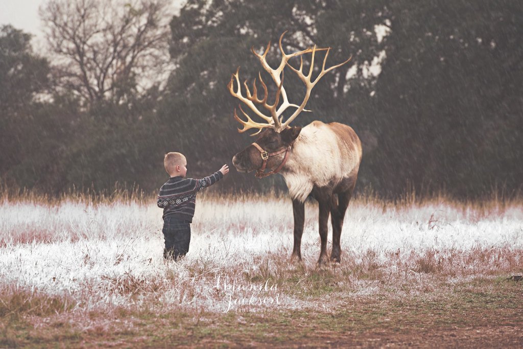 10697215_10152985074934623_1358805129998869915_o