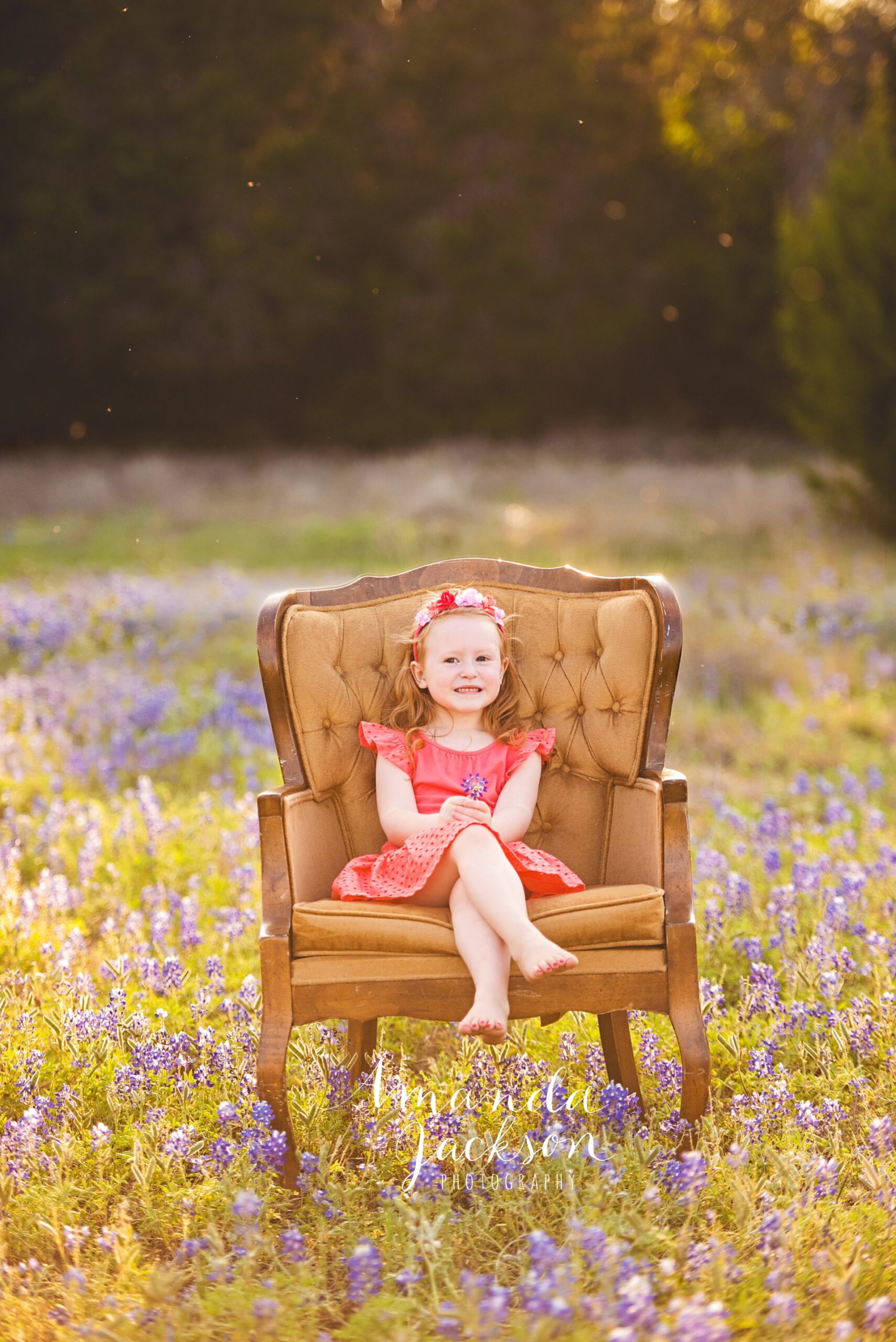 Dodd: Cedar Park, Texas Bluebonnet Mini Session