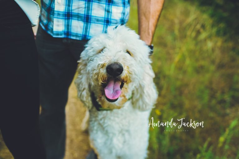 Heeney Family: Cedar Park, Texas Family Photographer