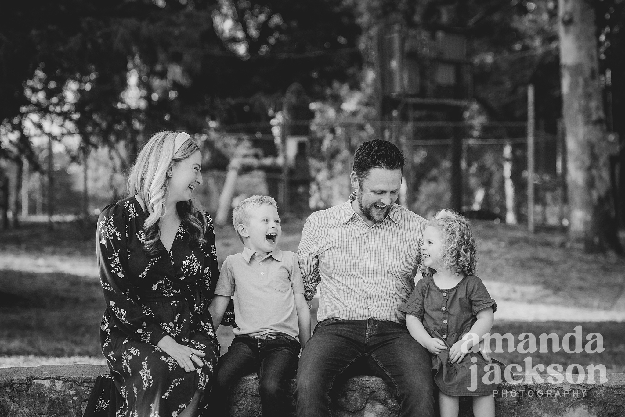 Blurred,Duplicates,Selected,